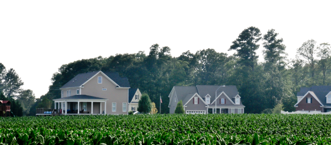 A few homes in the background of some farmland in the foreground. It looks to be a cul-de-sac.